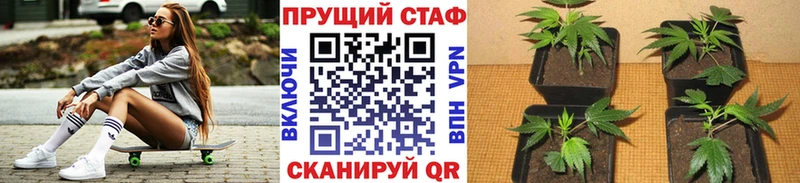 Купить APVP  Меф мяу мяу  MDMA  Бошки Шишки  Галлюциногенные грибы  Лагань