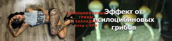 тгк Медвежьегорск