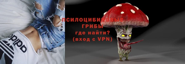 тгк Медвежьегорск